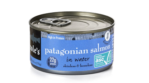 Patagonian Salmon in Water